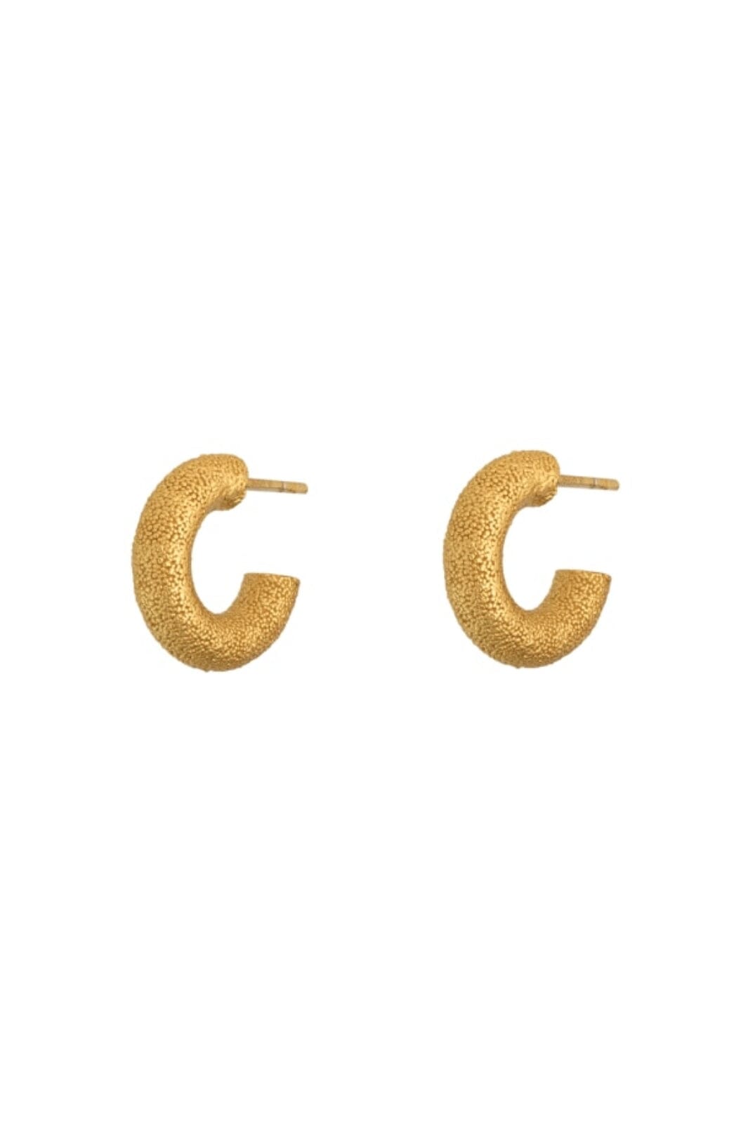 House Of Vincent - Asphodele Hoop Earrings - Gilded
