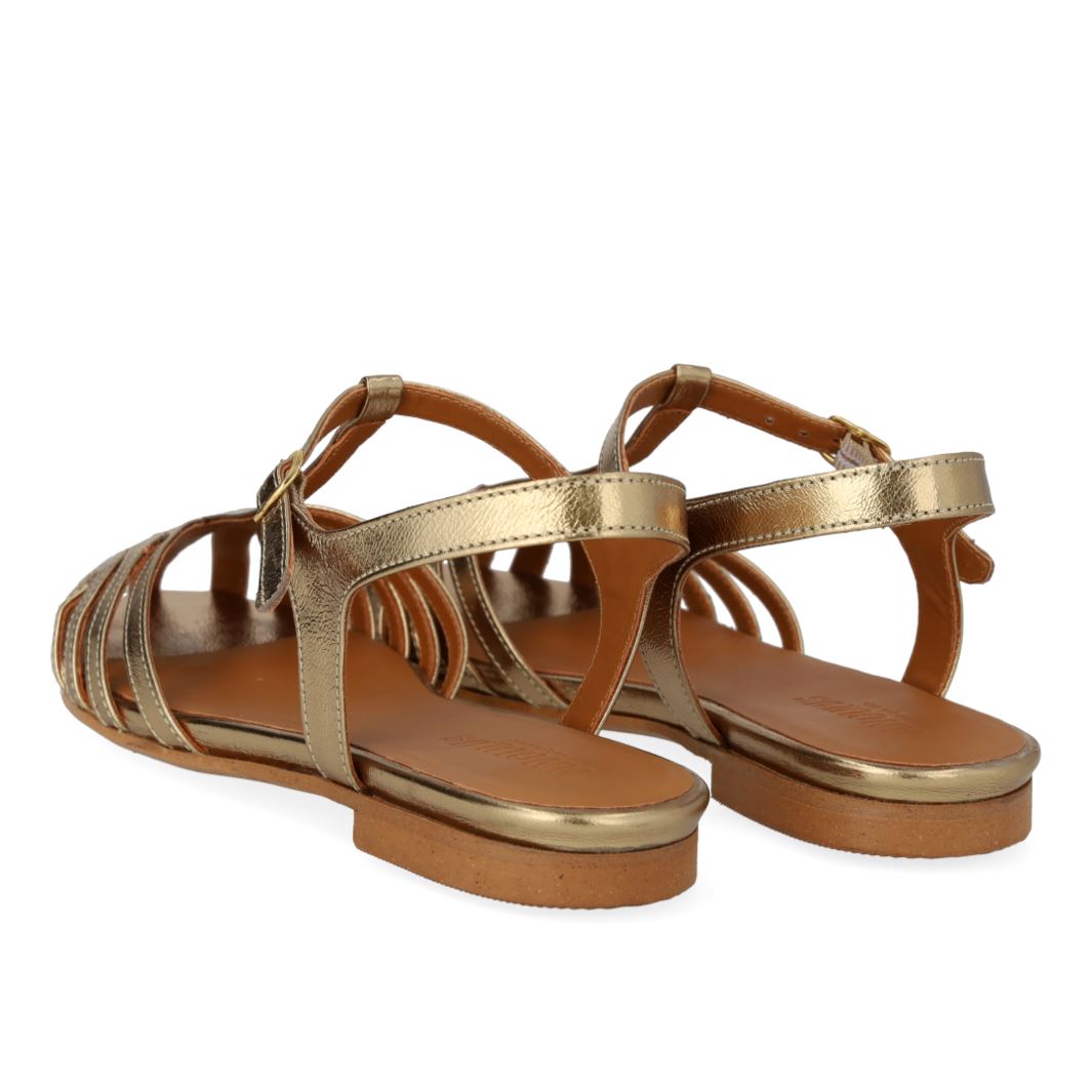 Angulus - 5841-101 - Gold Online nu