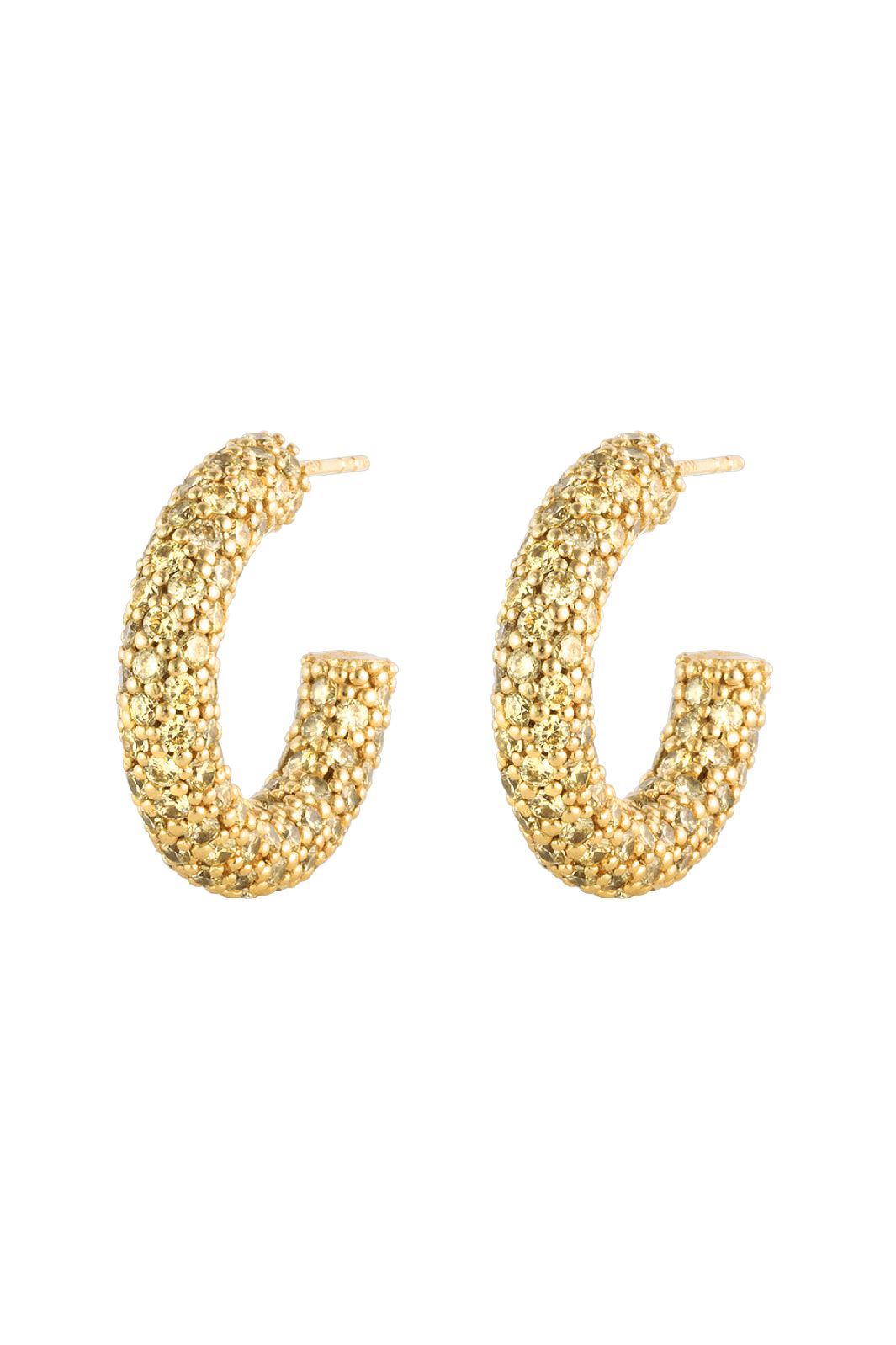 House Of Vincent - Halo Heritage Hoop Earrings - Gilded Rabat