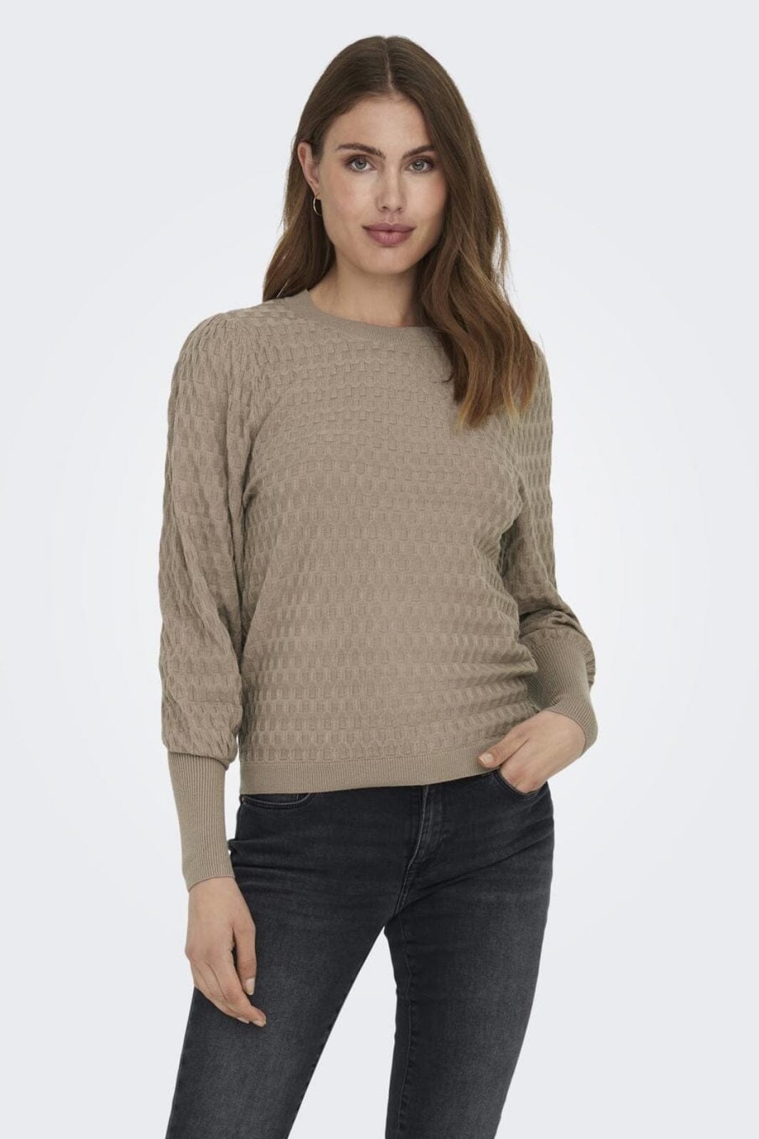 only-onlfaye-life-l-s-pullover-knt-4314190-silver-mink_1.jpg Only - Onlfaye Life L/S Pullover Knt - 4314190 Silver Mink
