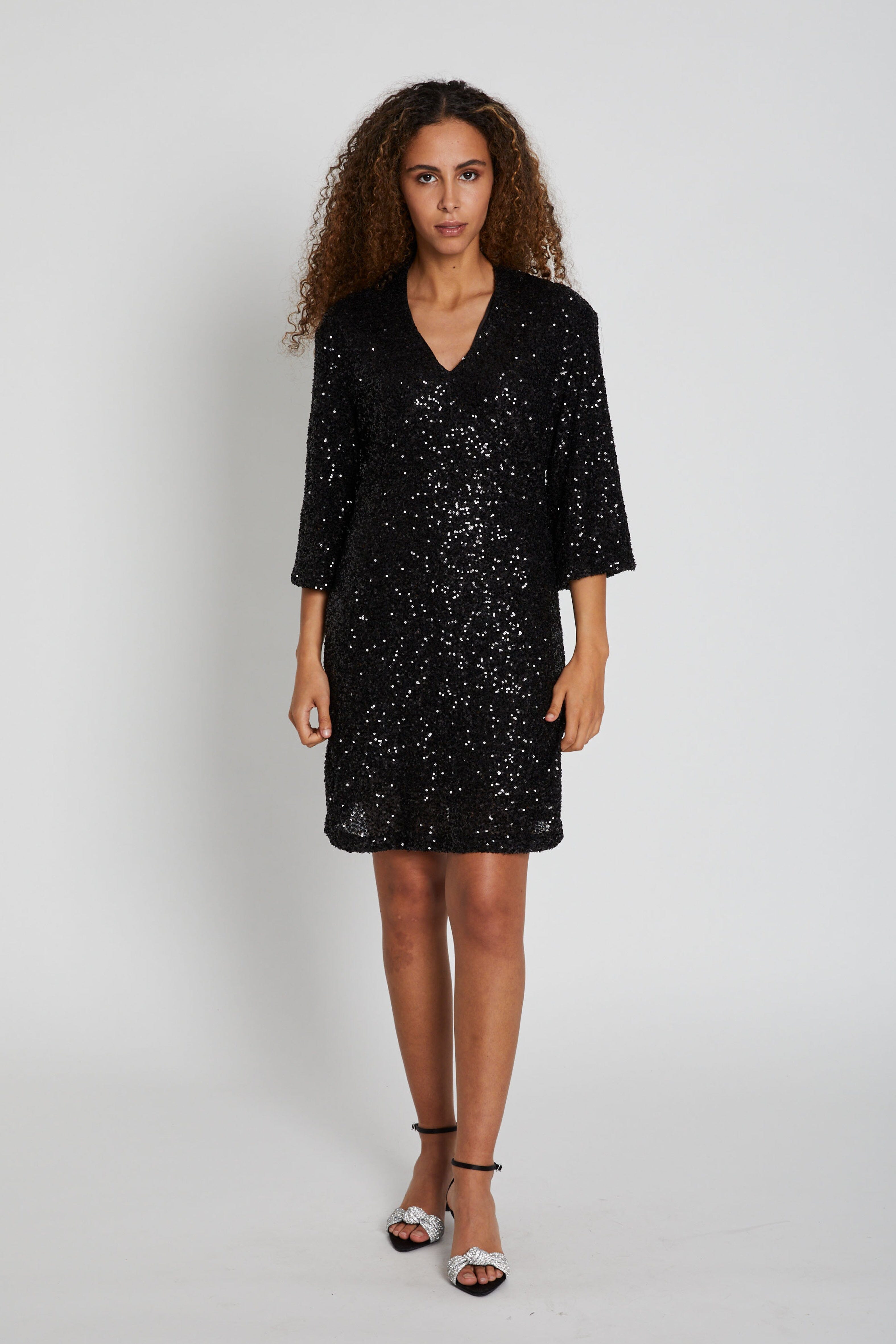 Bruuns Bazaar - Aralubbazati Dress - Black